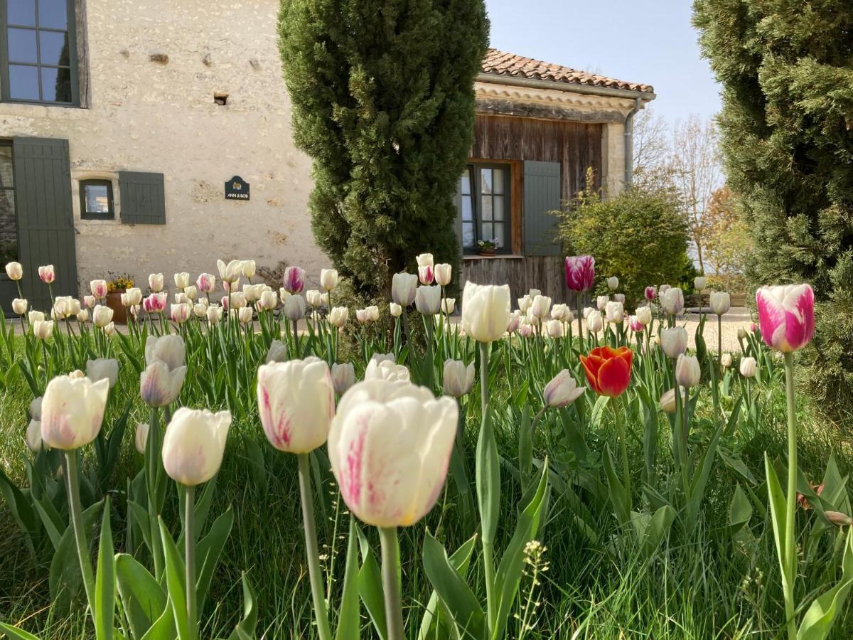 Bed and Breakfast La Ferme Buissonniere Bardou Exterior foto