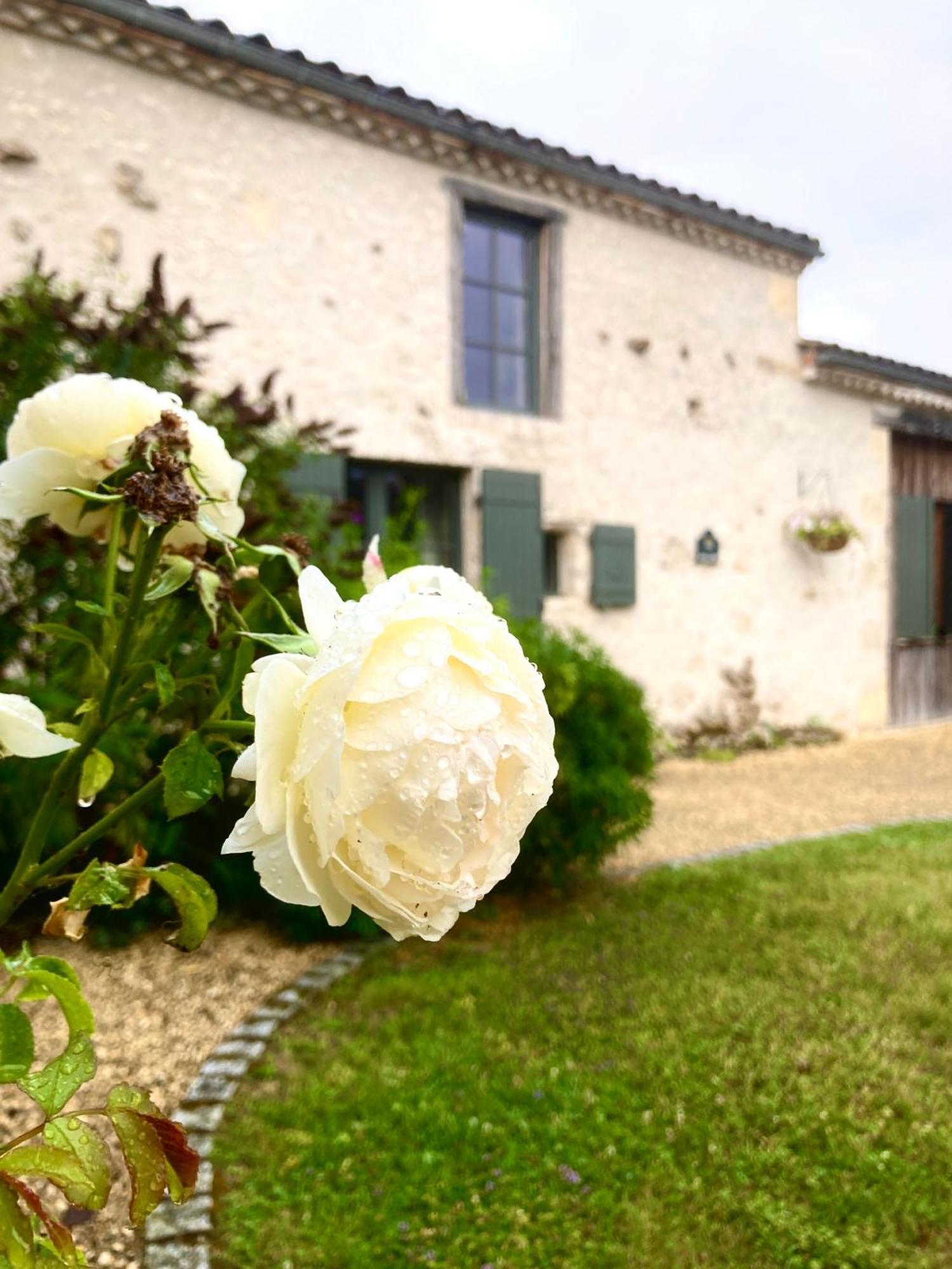 Bed and Breakfast La Ferme Buissonniere Bardou Exterior foto